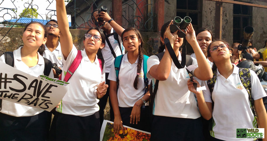 wildroots_batwatch (15).jpg