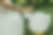 Captura de Pantalla 2025-02-25 a la(s) 15.44.16.png