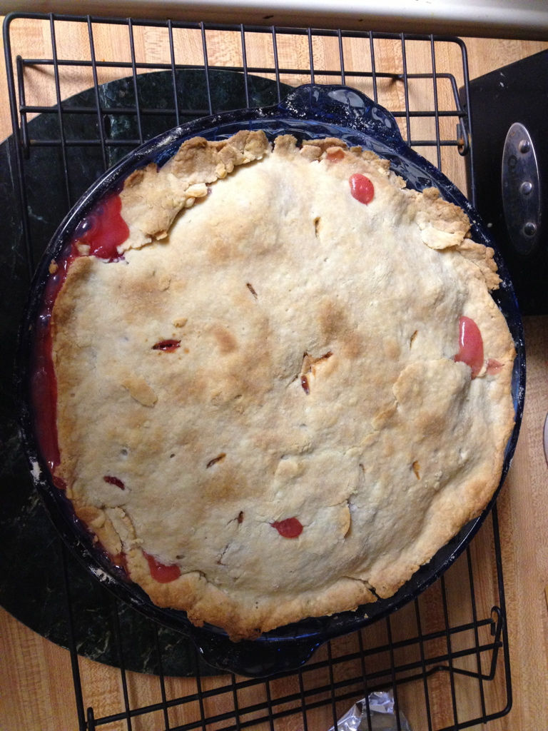 rhubarb pie - one of our family's traditions