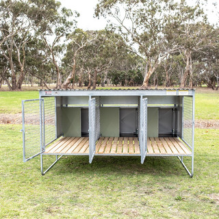 3 Bay Raised Run Dog Kennel