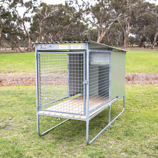 Single Bay Raised Run Dog Kennel