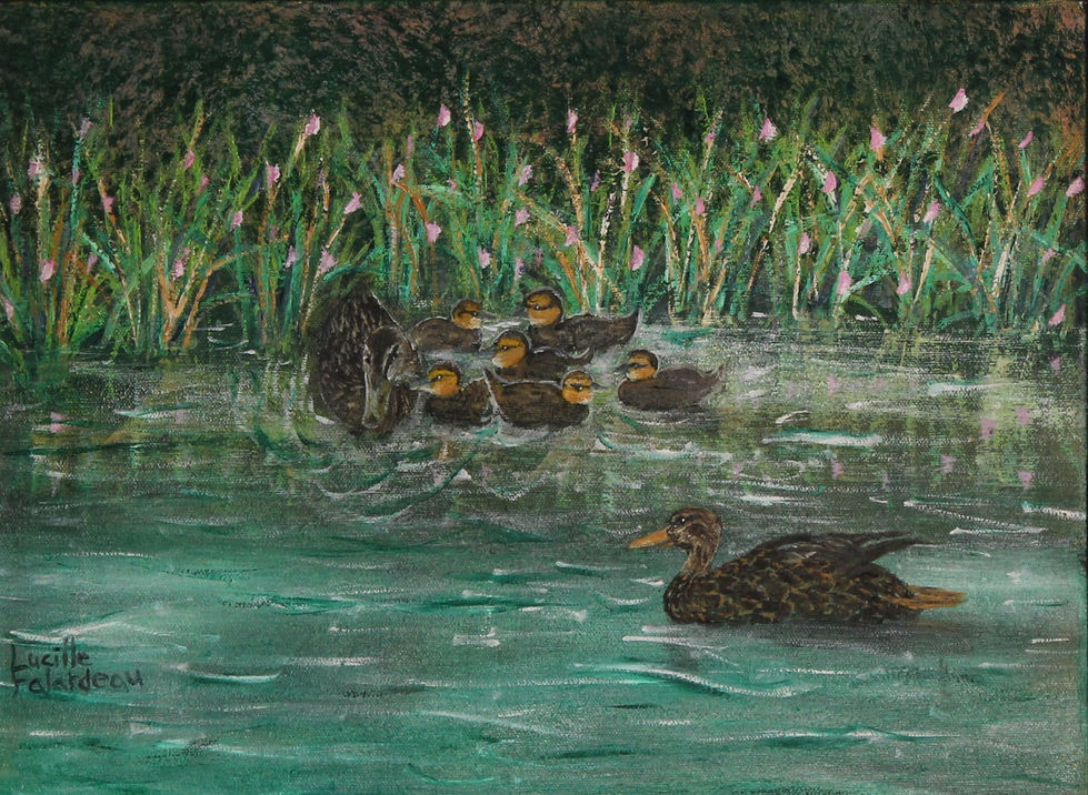 Petits coeurs sur l'eau
MG_6817