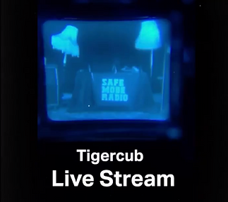 Screenshot 2021-09-10 at 15.59.36.png