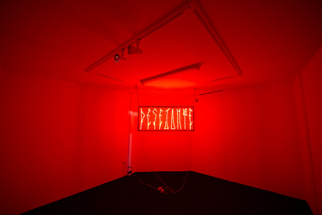 IMG_0337_MUnA_baixa 1.jpg