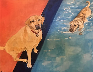 dogs1.jpg