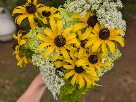 The Importance of Family & Conversation/Plot & Life Updates