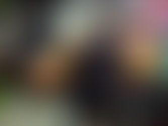 Vigilância Sanitária emite 21 autuações a food trucks no Guarujá