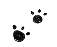pootjes.png