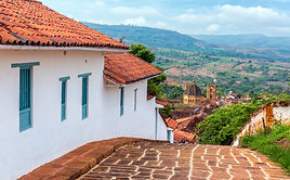 footpath-by-houses-with-cathedral-background (2).jpg