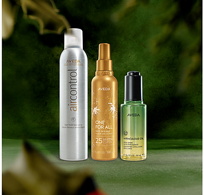 Aveda PRoducts 8_31_27.png