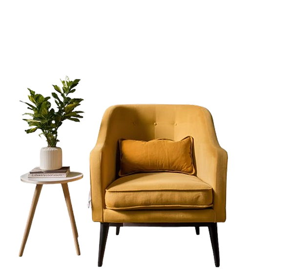 sofa-isolated-transparent-background_1214022-10382-removebg-preview 1.png