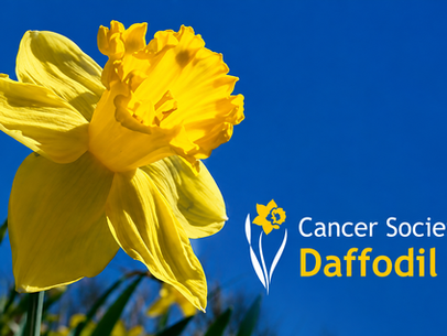 Daffodil Day 2026