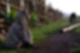 A-child-sits-along-a-fenceline-looking-up-at-the-sky-scaled.jpg