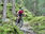 # batterypower | ½ Tag |3 Std. jeden Mittwoch 08.30 - 11.30 Uhr Mai - Ende September 2023