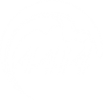 Logo-White.png