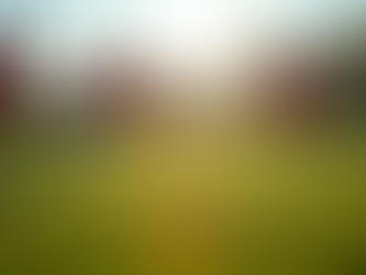 Nurturing Young Soccer Talent in Hyderabad