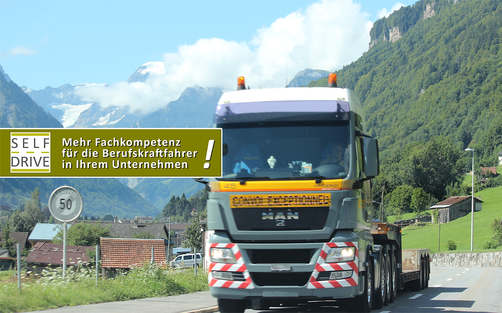 Selfdrive