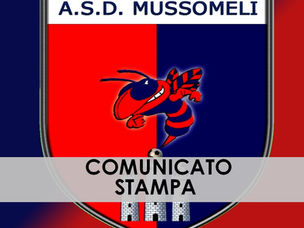 COMUNICATO STAMPA DELL'11.12.2014