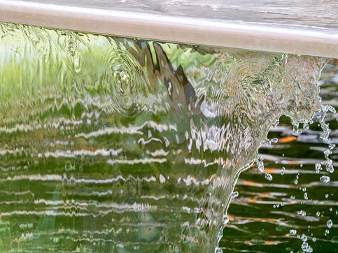 Water Removal 101: How to Quickly Extract Water from Your Home