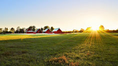 Farm