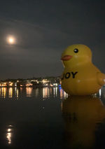 IMG_5986.jpeg