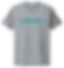 NextLevel Script Heather Short Sleeve