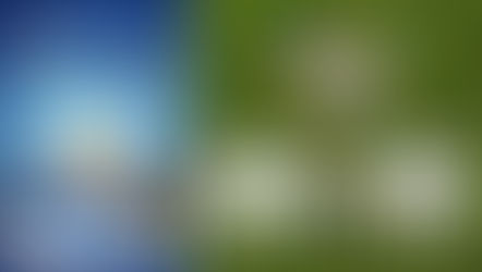 Dia Mundial da Conscientização do Autismo: Um Convite à Compreensão, ao Respeito e à Transformação