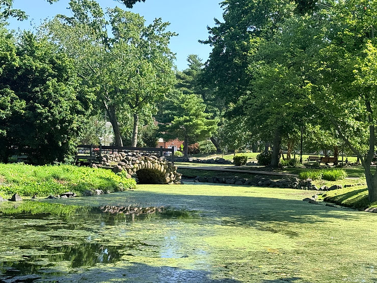 Heckscher Park