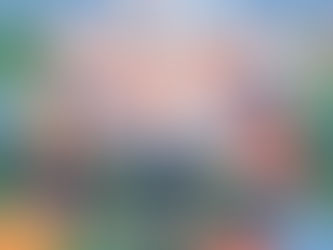 Além do Básico: Como suas Paixões te transformam numa pessoa mais Interessante.