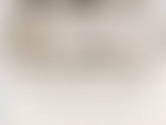 Free Collector’s Guide to Fine Art & Interior Installation