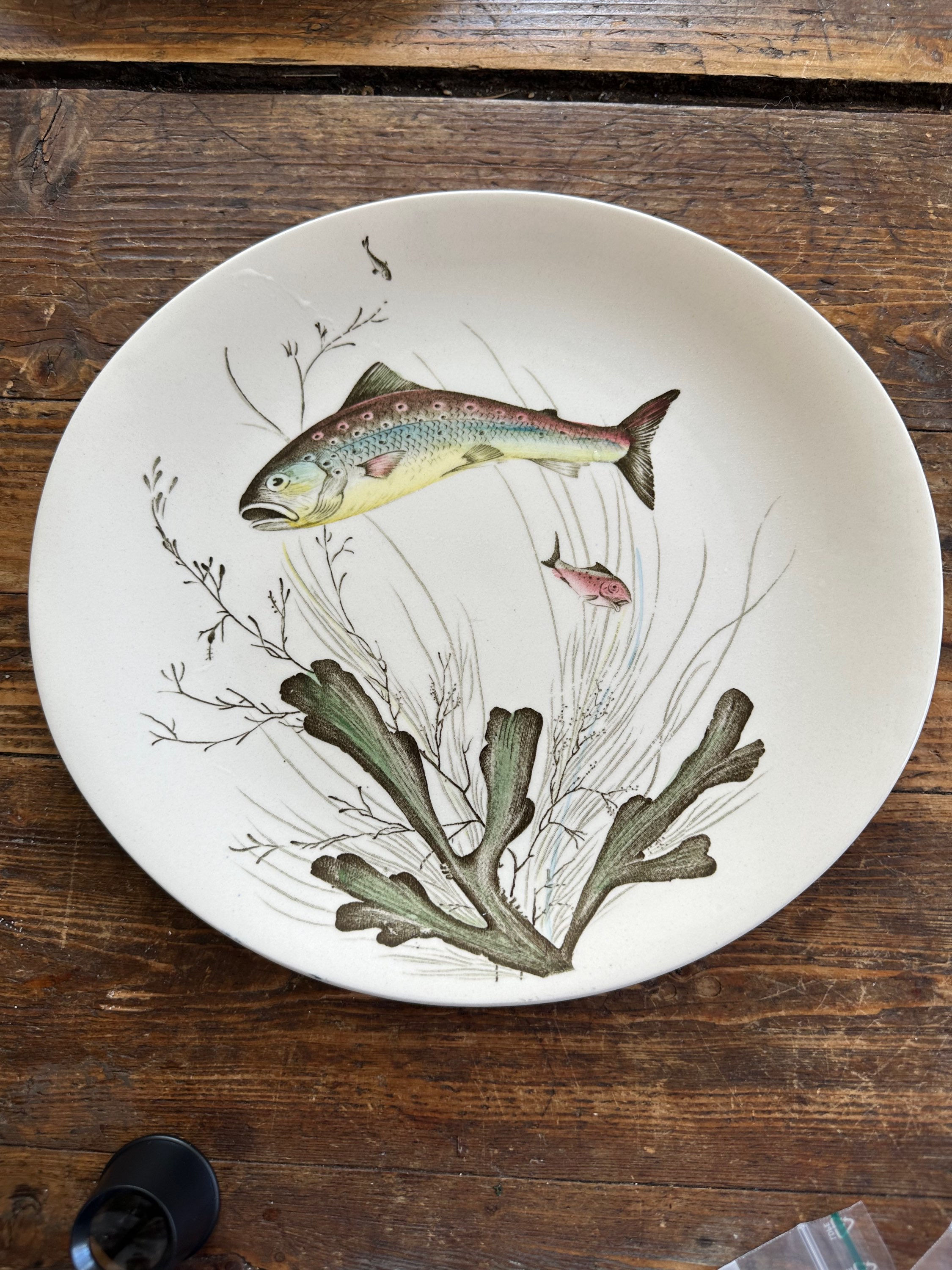 Johnson Bros fisketallerken Fish