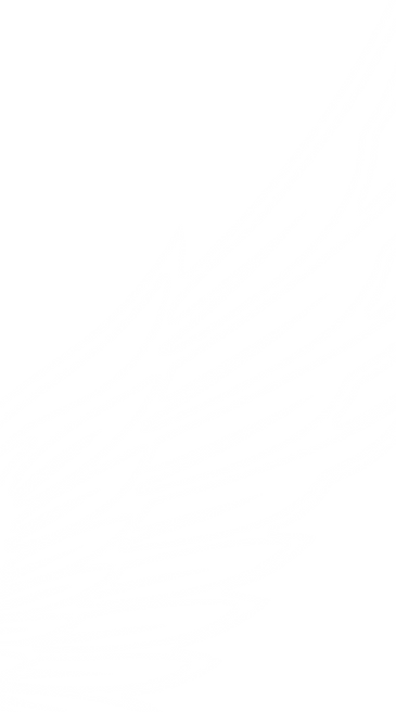 wings-01.png