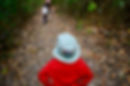 DSC_2070.jpeg