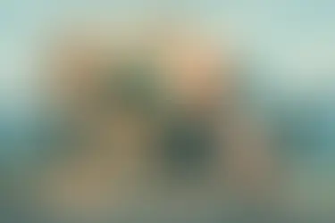 Your Go-To Italian Restaurant in Mount Joy, PA