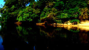 Dark Sky Park 