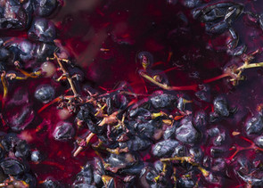 AdobeStock_296036294.jpeg