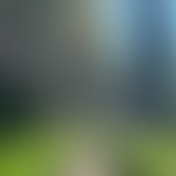 O dziesięciu dniach w toskańskim ogrodzie