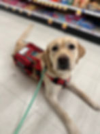 Nova