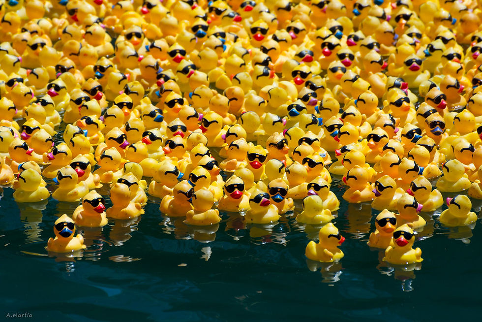 Thumbnail: Cascade aux canards