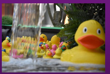 Thumbnail: Cascade aux canards
