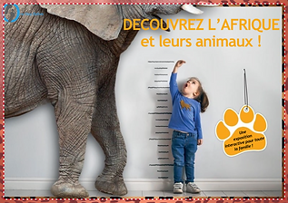 Découvrez l'Afrique.png