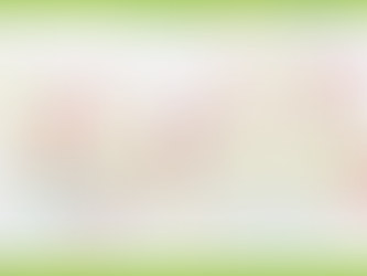 西部地区ワークショップ検討（3）