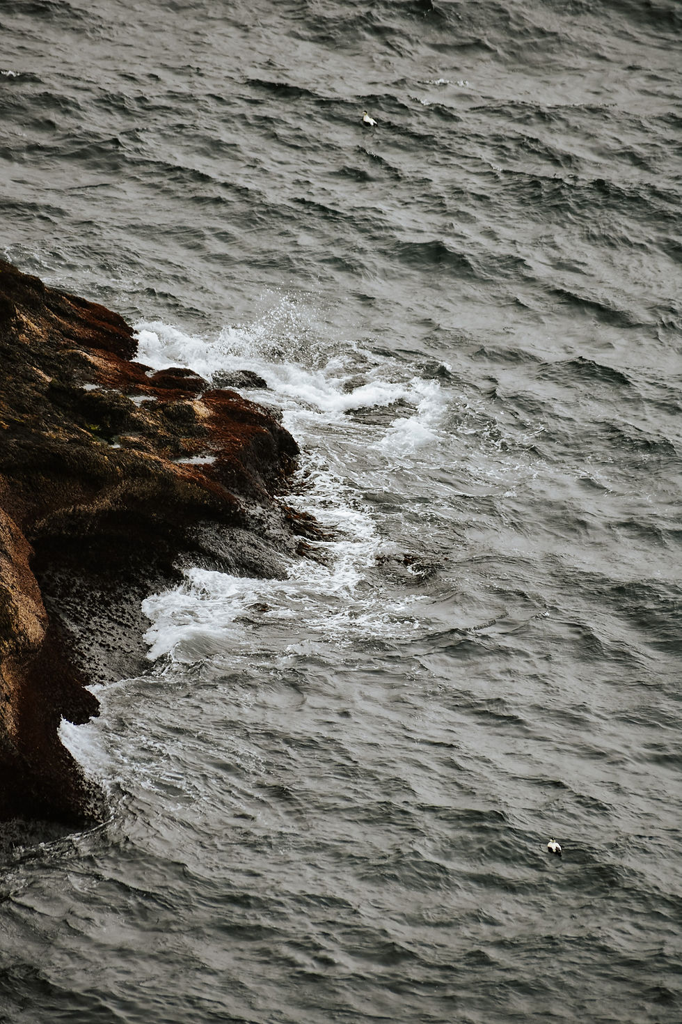 DSC_0602 (1)_edited.jpg