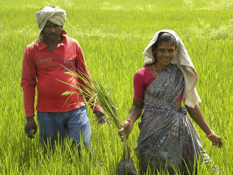 Andhra Pradesh Pioneers Satellite-Based Land Survey to Boost Farmer Prosperity