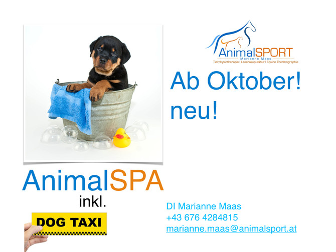 Bald geht es los mit meinem neuen Projekt: AnimalSPA