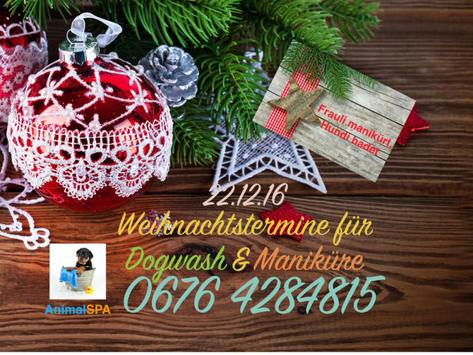 Vor Weihnachten noch einmal richtig entspannen!