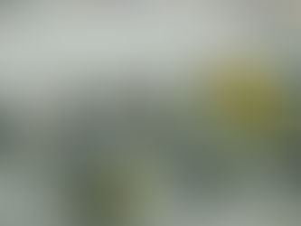 Equipment: Lease vs Buy?