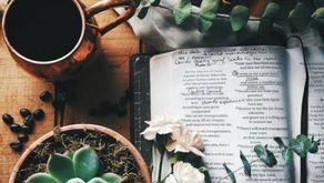 New Year! New Values!