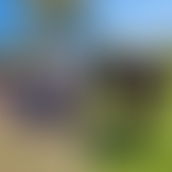 Primary SACSA Athletics (2024)