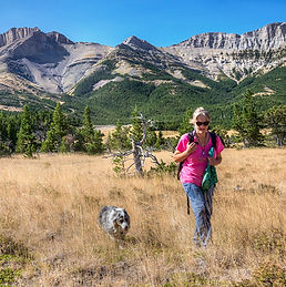Explore how the Trump administration's actions weaken conservation efforts on public lands. Please speak out to protect our shared natural resources for present and future generations of Americans.